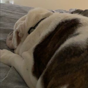 Meet your Posher, Geoff